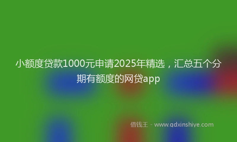 小额度贷款1000元申请2025年精选，汇总五个分期有额度的网贷app