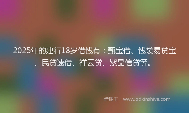2025年的建行18岁借钱有：甄宝借、钱袋易贷宝、民贷速借、祥云贷、紫晶信贷等。