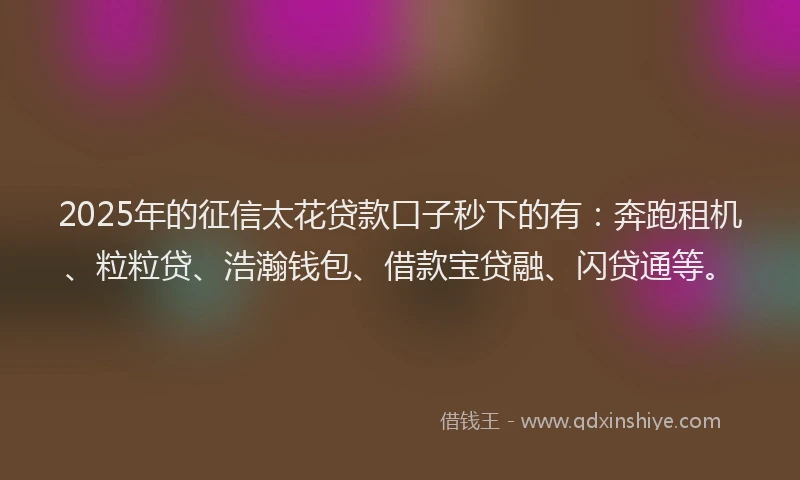 2025年的征信太花贷款口子秒下的有：奔跑租机、粒粒贷、浩瀚钱包、借款宝贷融、闪贷通等。