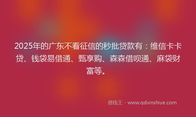 2025年的广东不看征信的秒批贷款有：维信卡卡贷、钱袋易借通、甄享购、森森借呗通、麻袋财富等。