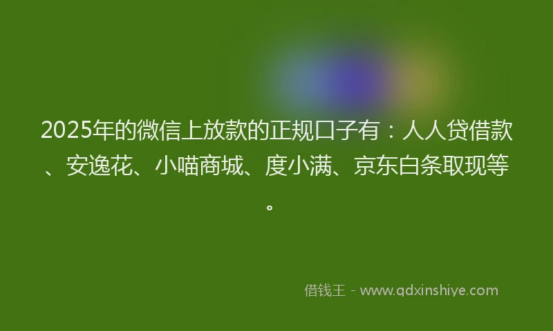 2025年的微信上放款的正规口子有：人人贷借款、安逸花、小喵商城、度小满、京东白条取现等。