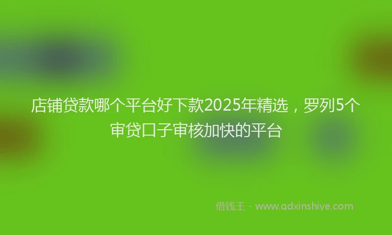店铺贷款哪个平台好下款2025年精选，罗列5个审贷口子审核加快的平台