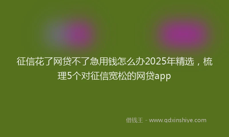征信花了网贷不了急用钱怎么办2025年精选，梳理5个对征信宽松的网贷app