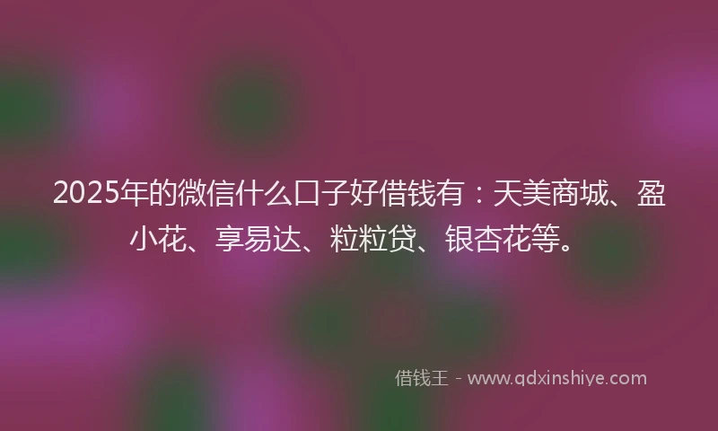 2025年的微信什么口子好借钱有：天美商城、盈小花、享易达、粒粒贷、银杏花等。