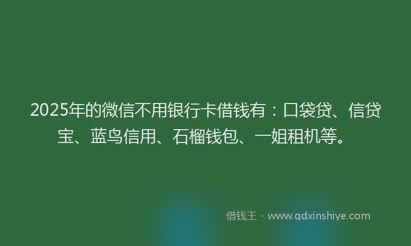 2025年的微信不用银行卡借钱有：口袋贷、信贷宝、蓝鸟信用、石榴钱包、一姐租机等。
