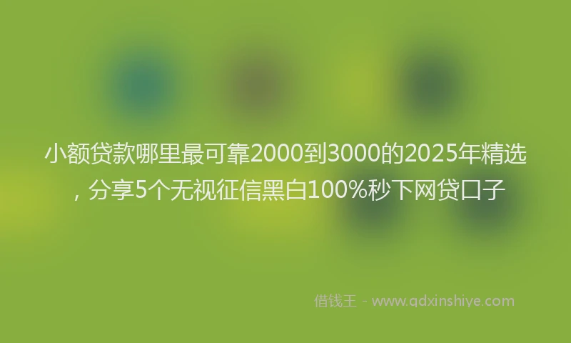 小额贷款哪里最可靠2000到3000的2025年精选，分享5个无视征信黑白100%秒下网贷口子