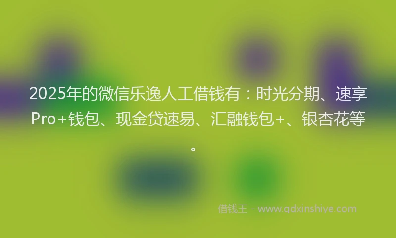 2025年的微信乐逸人工借钱有：时光分期、速享Pro+钱包、现金贷速易、汇融钱包+、银杏花等。