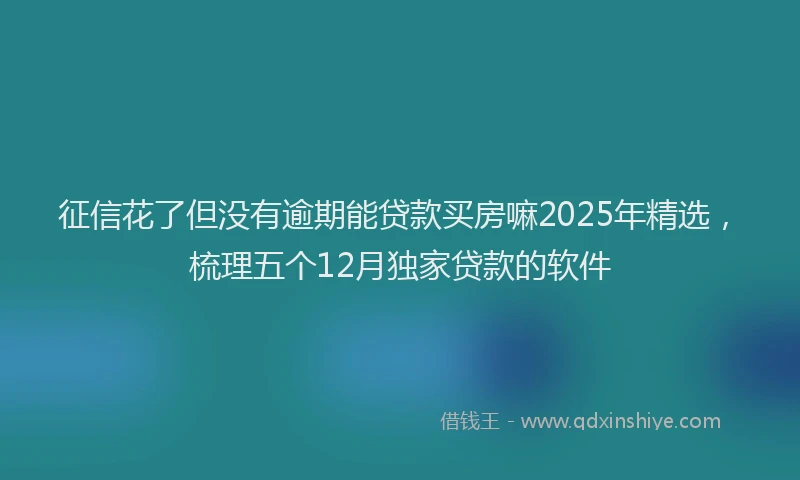 征信花了但没有逾期能贷款买房嘛2025年精选，梳理五个12月独家贷款的软件