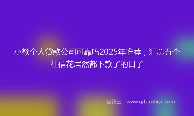 小额个人贷款公司可靠吗2025年推荐，汇总五个征信花居然都下款了的口子