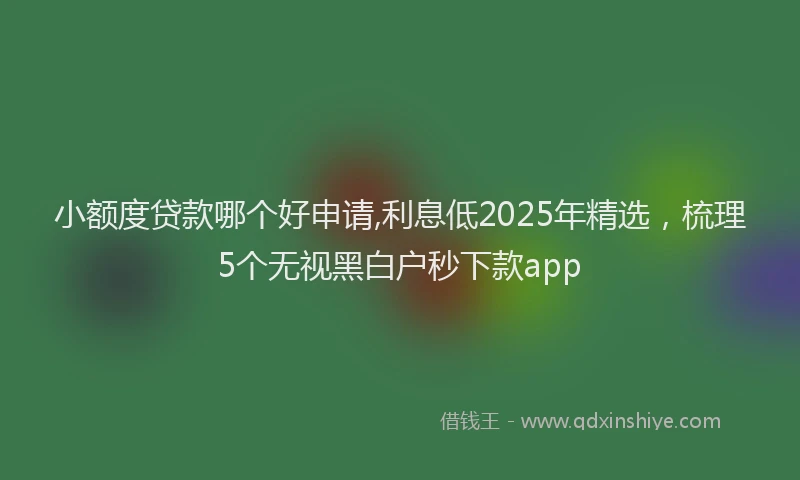 小额度贷款哪个好申请,利息低2025年精选，梳理5个无视黑白户秒下款app