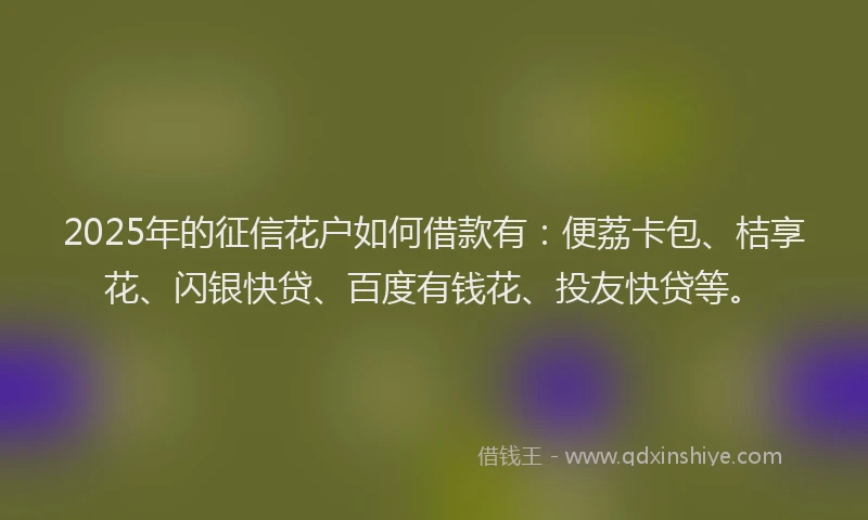 2025年的征信花户如何借款有：便荔卡包、桔享花、闪银快贷、百度有钱花、投友快贷等。