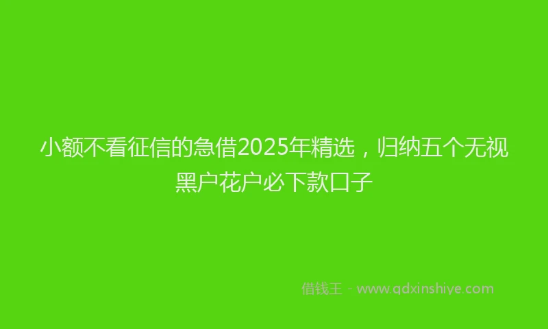 小额不看征信的急借2025年精选，归纳五个无视黑户花户必下款口子