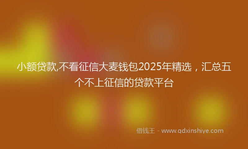 小额贷款,不看征信大麦钱包2025年精选，汇总五个不上征信的贷款平台