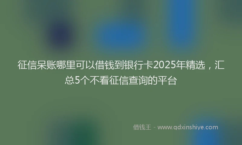 征信呆账哪里可以借钱到银行卡2025年精选，汇总5个不看征信查询的平台