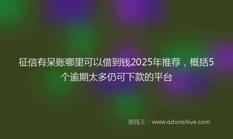 征信有呆账哪里可以借到钱2025年推荐，概括5个逾期太多仍可下款的平台