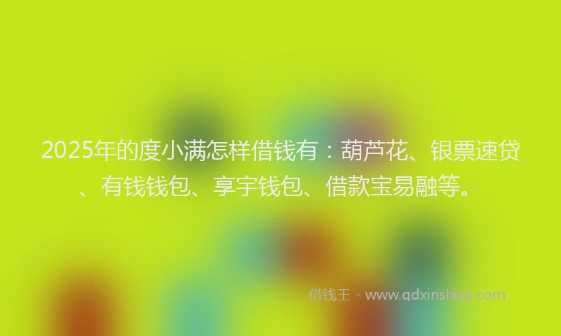 2025年的度小满怎样借钱有：葫芦花、银票速贷、有钱钱包、享宇钱包、借款宝易融等。
