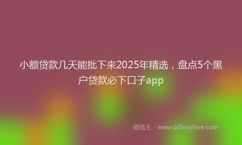 小额贷款几天能批下来2025年精选，盘点5个黑户贷款必下口子app