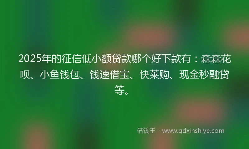 2025年的征信低小额贷款哪个好下款有：森森花呗、小鱼钱包、钱速借宝、快莱购、现金秒融贷等。
