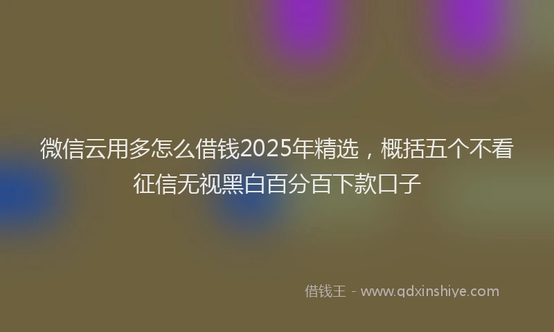 微信云用多怎么借钱2025年精选，概括五个不看征信无视黑白百分百下款口子