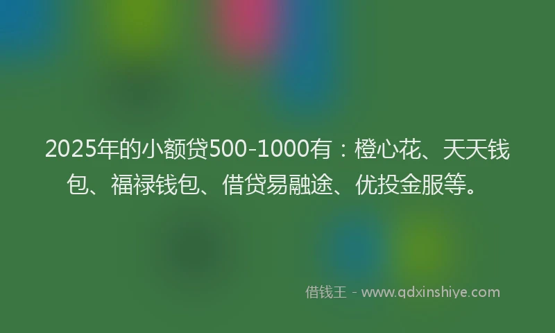 2025年的小额贷500-1000有：橙心花、天天钱包、福禄钱包、借贷易融途、优投金服等。