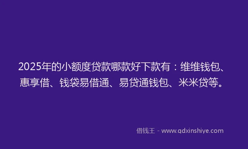2025年的小额度贷款哪款好下款有：维维钱包、惠享借、钱袋易借通、易贷通钱包、米米贷等。