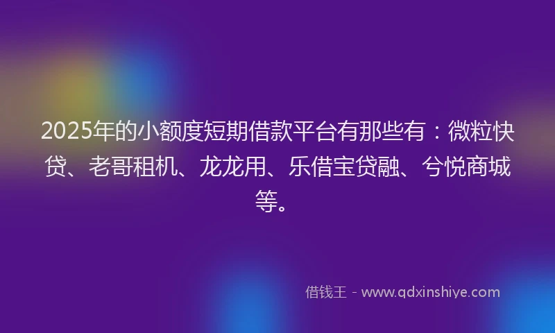 2025年的小额度短期借款平台有那些有：微粒快贷、老哥租机、龙龙用、乐借宝贷融、兮悦商城等。