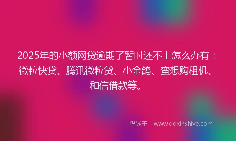 2025年的小额网贷逾期了暂时还不上怎么办有：微粒快贷、腾讯微粒贷、小金鸽、蛮想购租机、和信借款等。