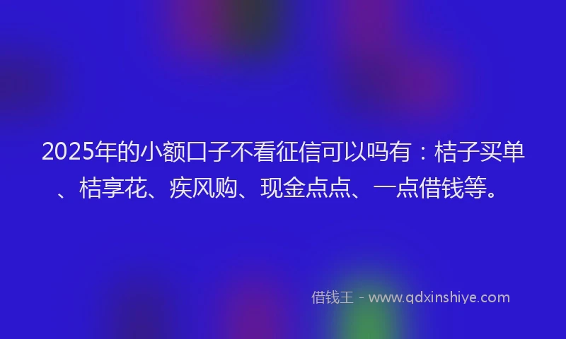 2025年的小额口子不看征信可以吗有：桔子买单、桔享花、疾风购、现金点点、一点借钱等。