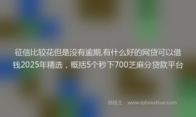 征信比较花但是没有逾期,有什么好的网贷可以借钱2025年精选，概括5个秒下700芝麻分贷款平台