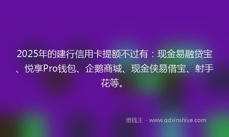 2025年的建行信用卡提额不过有：现金易融贷宝、悦享Pro钱包、企鹅商城、现金侠易借宝、射手花等。