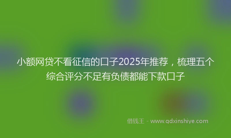 小额网贷不看征信的口子2025年推荐，梳理五个综合评分不足有负债都能下款口子
