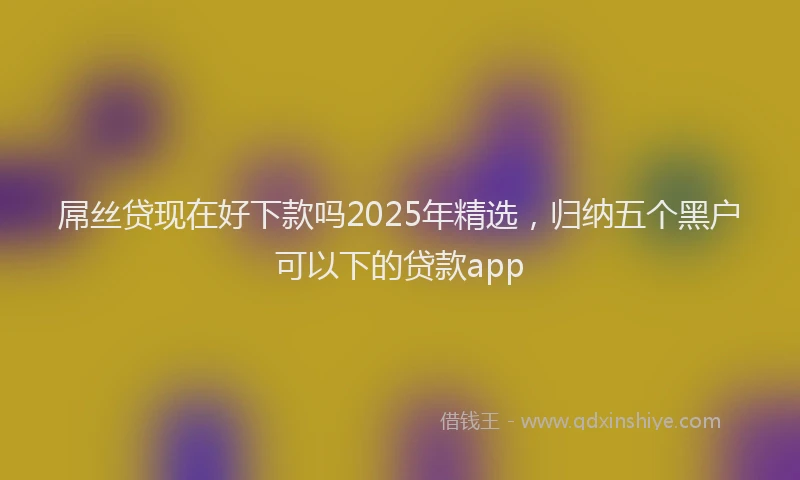 屌丝贷现在好下款吗2025年精选，归纳五个黑户可以下的贷款app