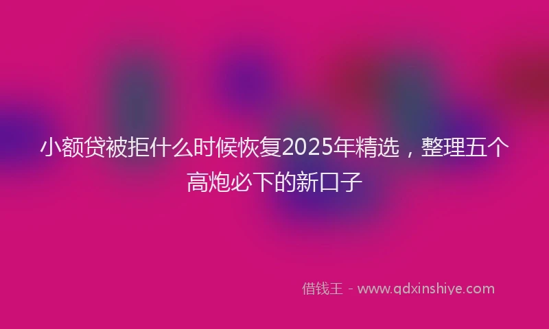 小额贷被拒什么时候恢复2025年精选，整理五个高炮必下的新口子