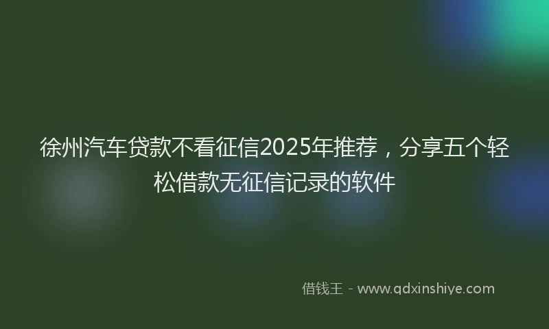 徐州汽车贷款不看征信2025年推荐，分享五个轻松借款无征信记录的软件