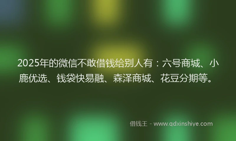 2025年的微信不敢借钱给别人有：六号商城、小鹿优选、钱袋快易融、森泽商城、花豆分期等。