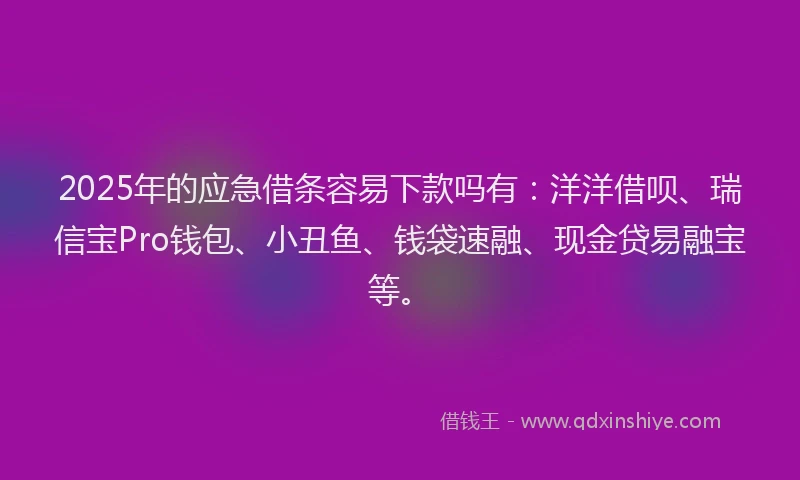 2025年的应急借条容易下款吗有：洋洋借呗、瑞信宝Pro钱包、小丑鱼、钱袋速融、现金贷易融宝等。