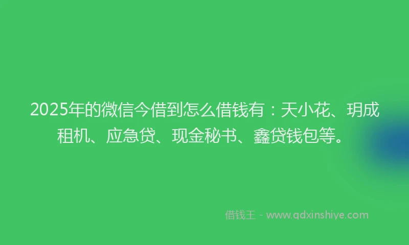 2025年的微信今借到怎么借钱有：天小花、玥成租机、应急贷、现金秘书、鑫贷钱包等。