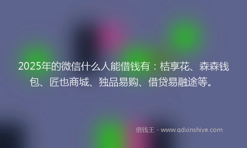 2025年的微信什么人能借钱有：桔享花、森森钱包、匠也商城、独品易购、借贷易融途等。