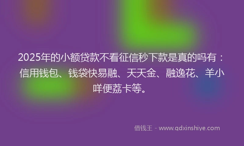 2025年的小额贷款不看征信秒下款是真的吗有：信用钱包、钱袋快易融、天天金、融逸花、羊小咩便荔卡等。