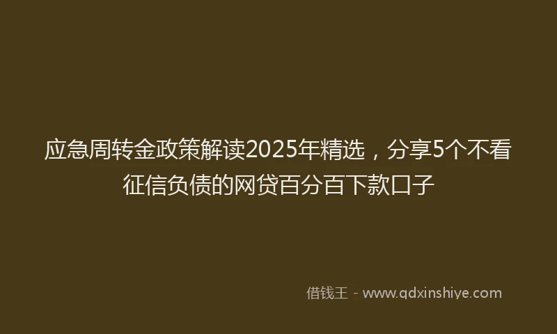 应急周转金政策解读2025年精选，分享5个不看征信负债的网贷百分百下款口子
