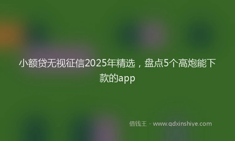 小额贷无视征信2025年精选，盘点5个高炮能下款的app
