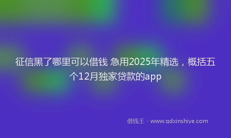 征信黑了哪里可以借钱 急用2025年精选，概括五个12月独家贷款的app