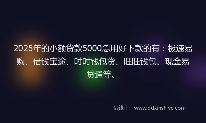 2025年的小额贷款5000急用好下款的有：极速易购、借钱宝途、时时钱包贷、旺旺钱包、现金易贷通等。