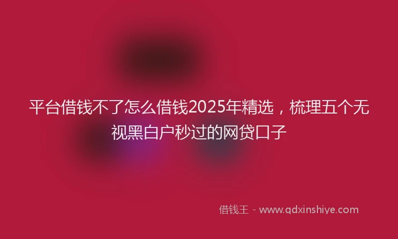 平台借钱不了怎么借钱2025年精选，梳理五个无视黑白户秒过的网贷口子