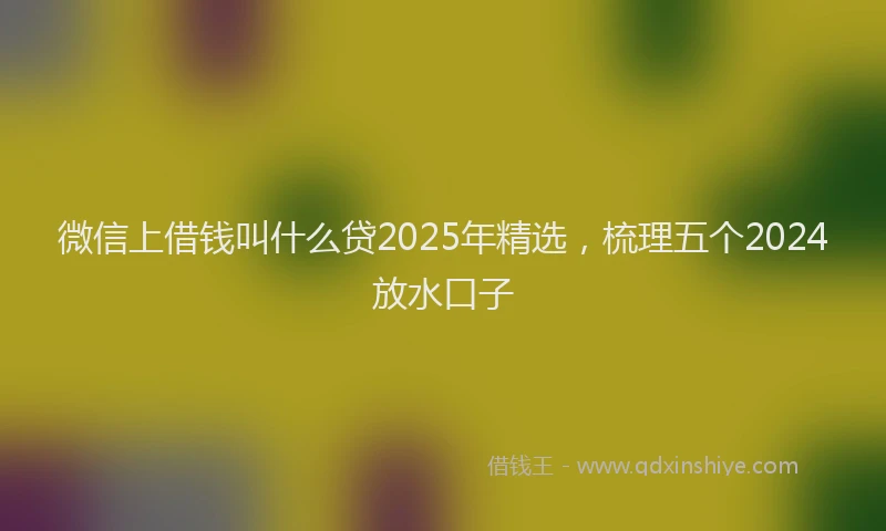 微信上借钱叫什么贷2025年精选，梳理五个2024放水口子