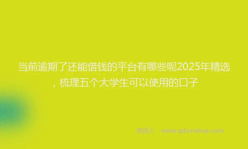当前逾期了还能借钱的平台有哪些呢2025年精选，梳理五个大学生可以使用的口子