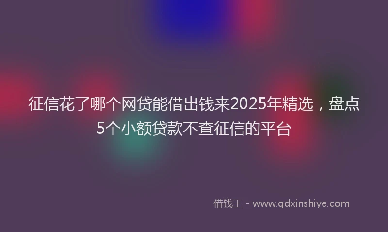 征信花了哪个网贷能借出钱来2025年精选，盘点5个小额贷款不查征信的平台