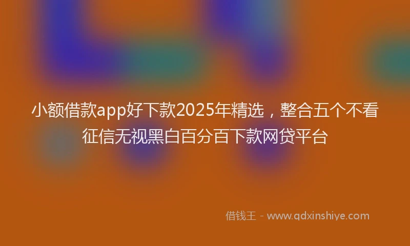 小额借款app好下款2025年精选，整合五个不看征信无视黑白百分百下款网贷平台