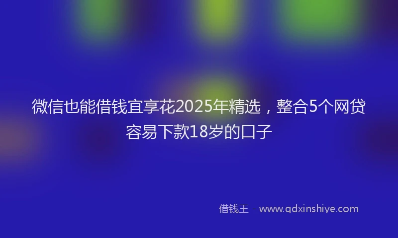 微信也能借钱宜享花2025年精选，整合5个网贷容易下款18岁的口子