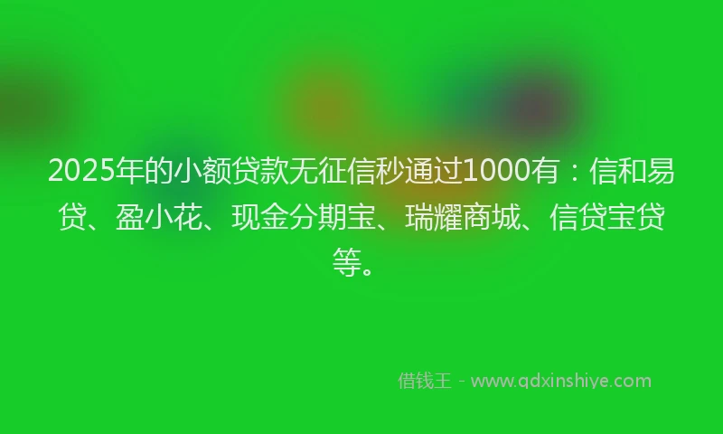 2025年的小额贷款无征信秒通过1000有：信和易贷、盈小花、现金分期宝、瑞耀商城、信贷宝贷等。